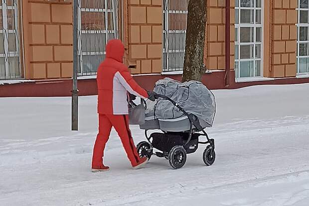 Сколько смоленских семей направили маткапитал на образование детей в 2025 году ?