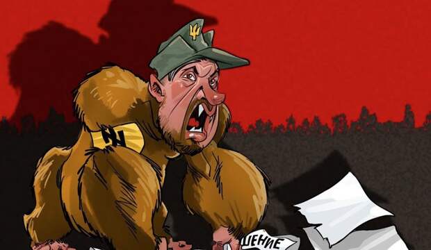 США официально возобновили сотрудничество с украинскими неонацистами