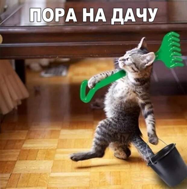 Прикольные фото