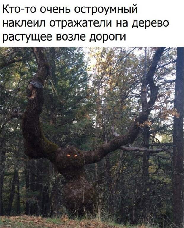 Намусорю вам тут