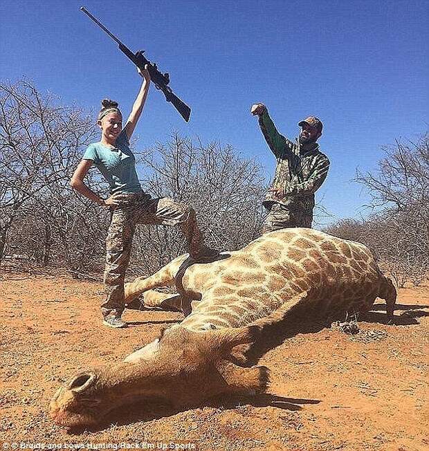 Тренд делиться трофеями в соцсетях начала 12-летняя Арианна Гурдин из Юты. Девочка вызвала общественный резонанс, поделившись жуткими фотографиями, на которых триумфально позировала над телом застреленного ею в Африке жирафа.  дети, женщины, животные, охота