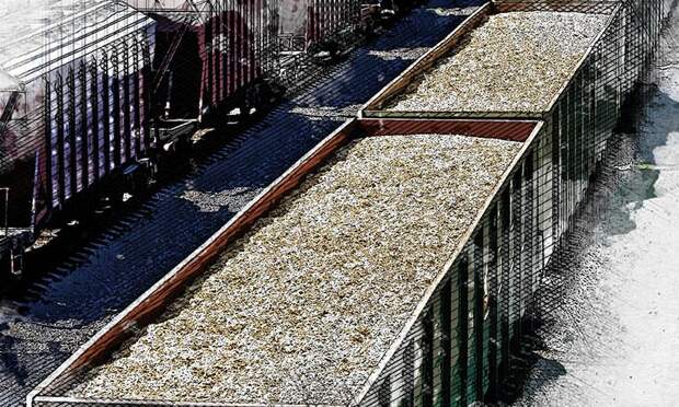 Орловская область значительно отстаёт от Курской в отгрузке зерна