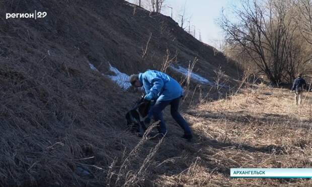 Неравнодушные жители столицы Поморья вышли на первые субботники