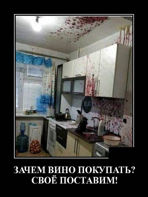 Демотиваторы (30 фото)