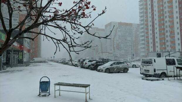 До +2. О погоде в Барнауле 21 ноября