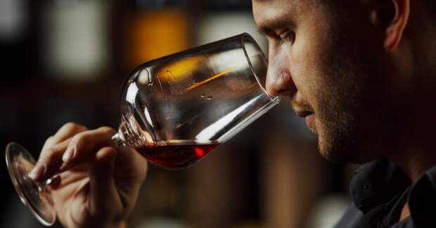 Существует ли «порошковое вино» и почему не стоит его бояться