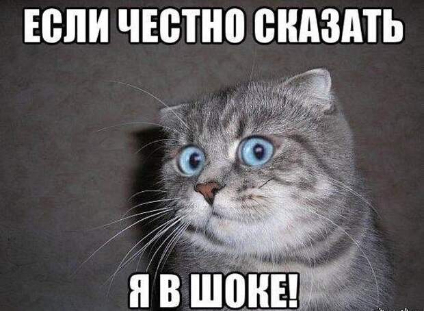 Подборка смешных до слез картинок