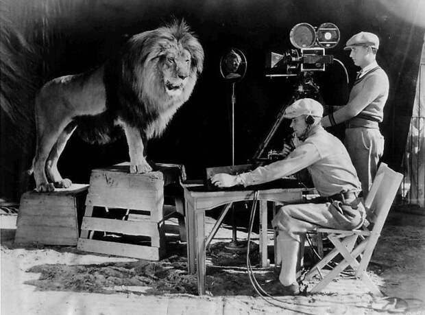 Лев Джеки снимается для заставки киностудии «MGM», 1928 год