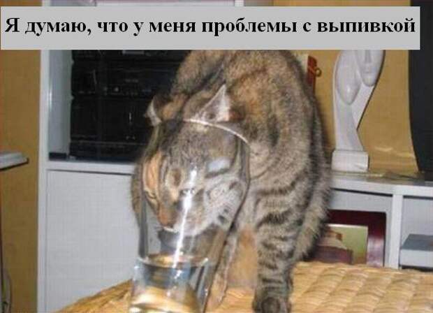 Мысли :) (50мыслей)