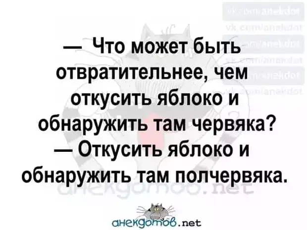 Из объяснительной: "Я, белокурая лахудра на "мазде", повернула туда, куда захотела...