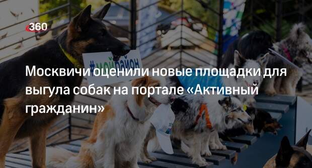 Сергунина: «активные граждане» Москвы оценили новые площадки для выгула собак