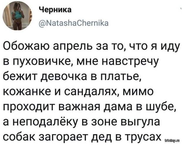 www.vsyako.net