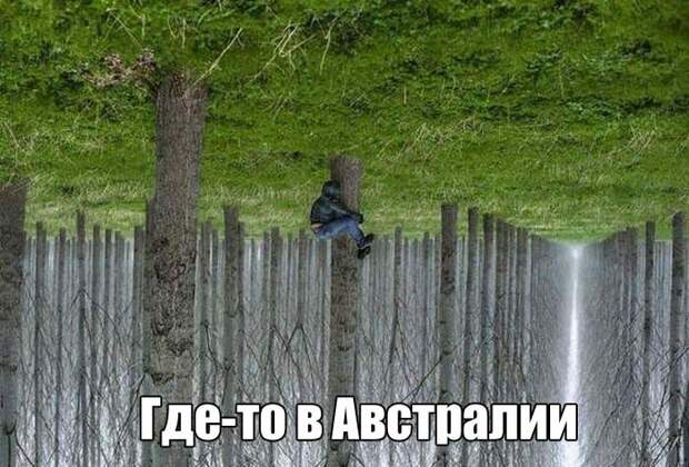 Приколы и прикольные картинки Подборка прикольных фото, подборка приколов, приколы, прикольное фото, прикольные картинки