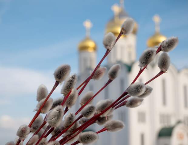 Открытки с Вербным воскресеньем 2026: 95+ картинок и поздравлений