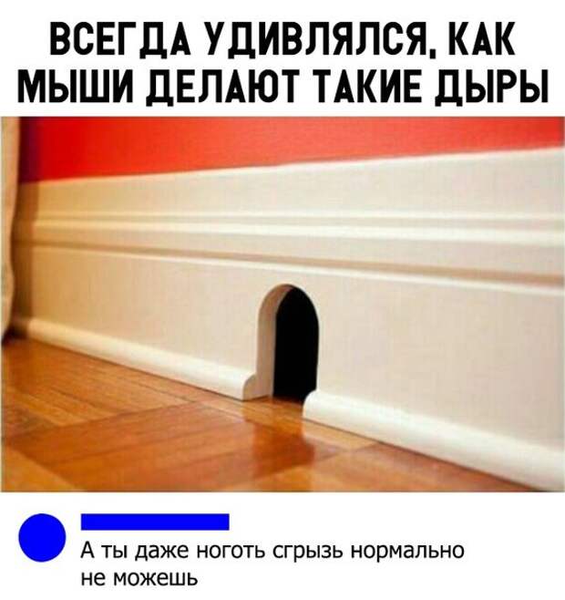 Немного веселых картинок