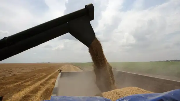 Аграрии Крыма получили более 1,2 млрд рублей господдержки с начала года