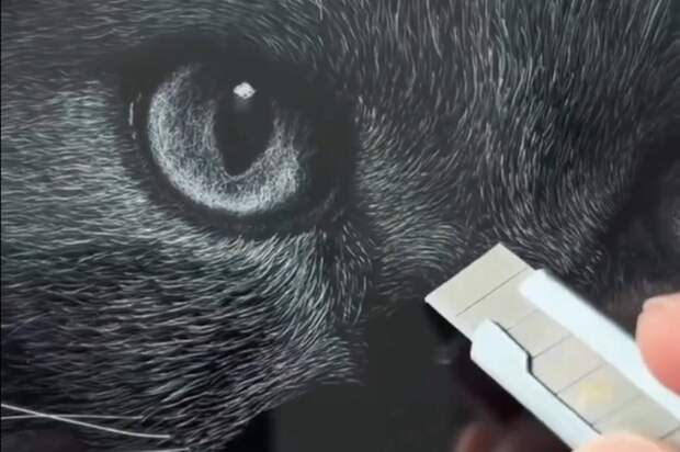 Китайский художник рисует нереально красивые портреты животных обычным канцелярским ножом