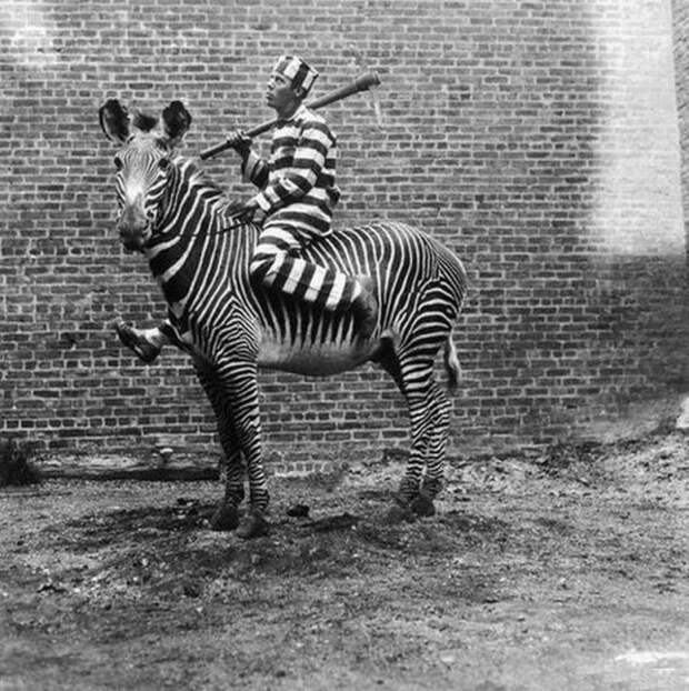 48 довольно странных фотографий из прошлого 48 довольно странных фотографий из прошлого