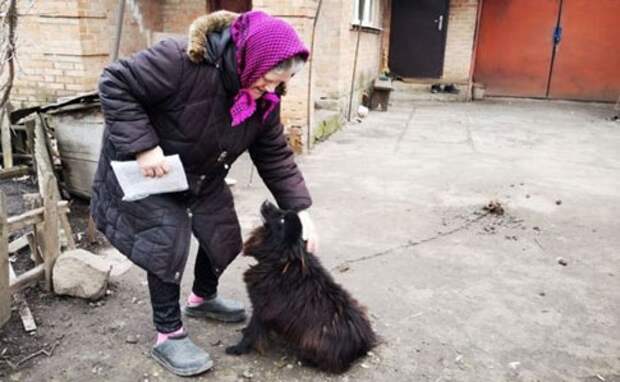 Зачем говорить о животных, если люди для них мусор: верхушка Украины показала свою низость
