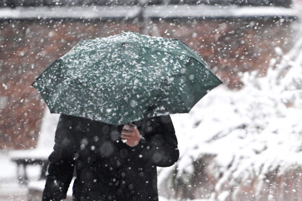 Москвичей успокоили насчет грядущего снегопада