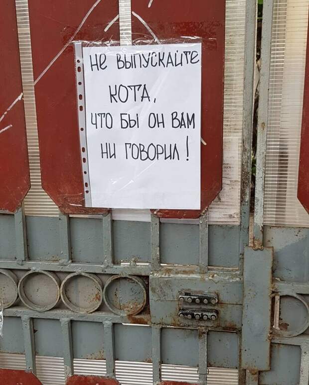 9. Смешное объявление 9. Смешное объявление