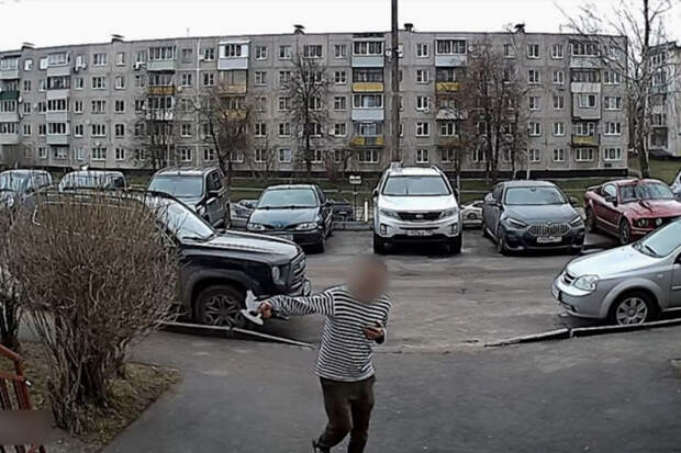 Разгоняющий демонов топором у детской площадки россиянин попал на видео