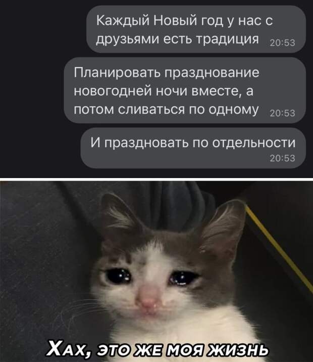 Смешные картинки вечер 10 декабря 2020
