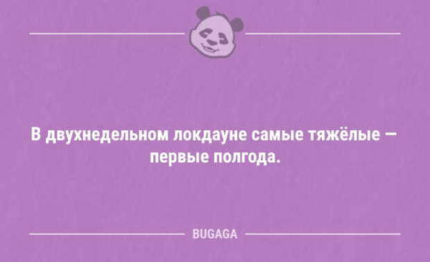 Анекдоты дня (13 шт)
