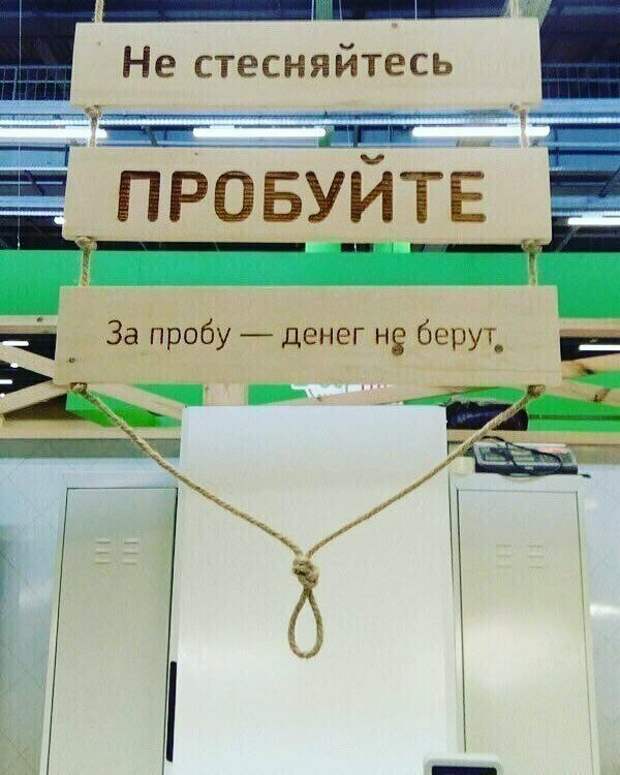 В гробу мы видели такие пробы В гробу мы видели такие пробы