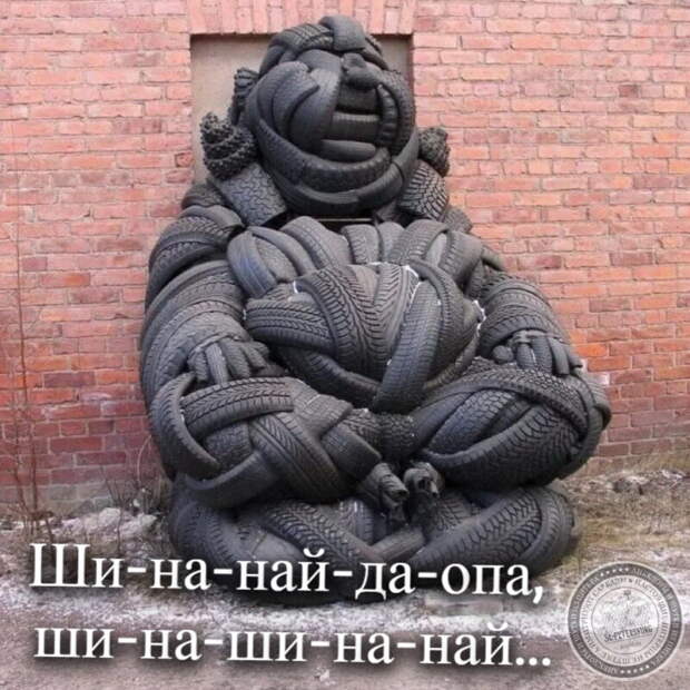 Шина