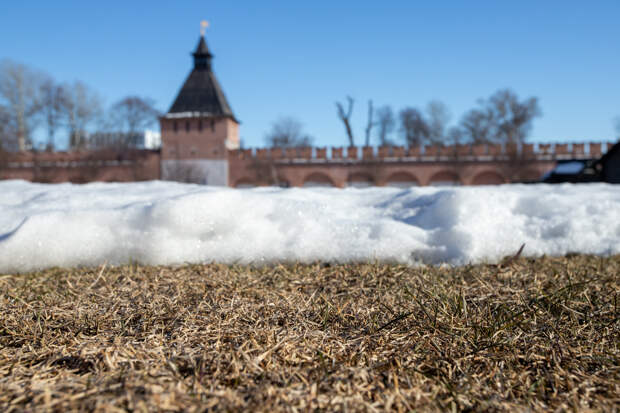 Терапевт Кузнецова назвала продукты, которые нужно есть весной