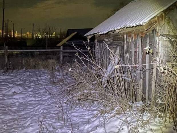 В Рязанской области в Шацком районе волонтеры спасли пенсионера с деменцией