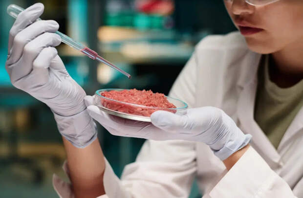 Снова массовое отравление детей: Врач Денис Прокофьев сказал, в чём главная проблема