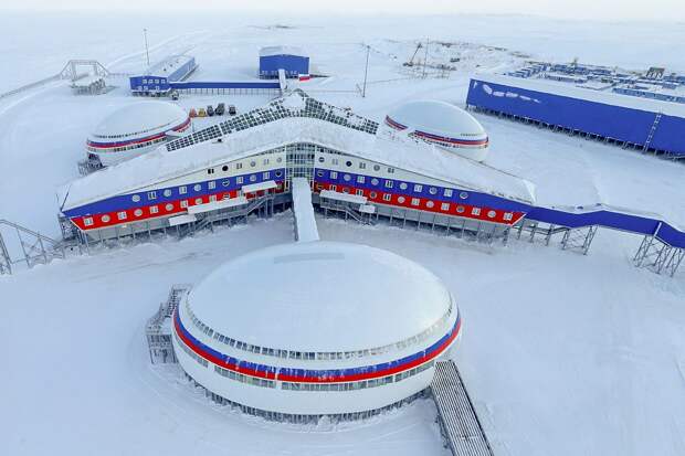 Автор: https://upload.wikimedia.org/wikipedia/commons/thumb/9/9c/Arkticheskiy_trilistnik_%282017%29_02.jpg/1200px-Arkticheskiy_trilistnik_%282017%29_02.jpg