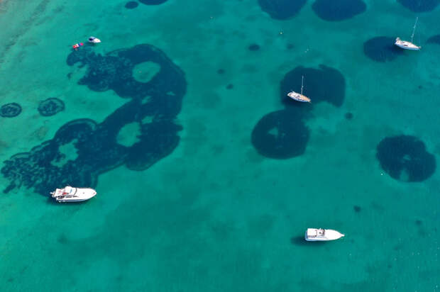 Похожие «Ведьмины круги» у берегов Шотландии обнаружили местные экологи. Фото: Aerial-motion/Shutterstock/Fotodom.