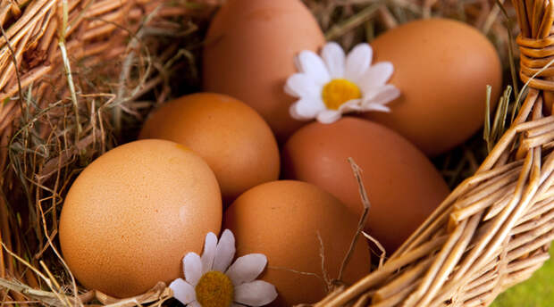 Белковый заряд На одно яйцо приходится примерно 6 граммов белка. Таким образом, тремя яйцами можно заменить кусок мяса. Белок же очень важен для активного человека: потеря веса, контроль гипертонии и здоровье костей завязаны именно на этом элементе.
