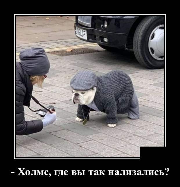 Демотиваторы (30 фото)