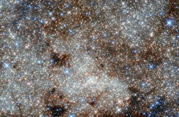 Тысячи звёзд