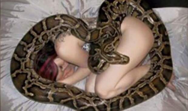 Девушка обожала своего питона и спала с ним каждую ночь. Но вдруг змея начала худеть