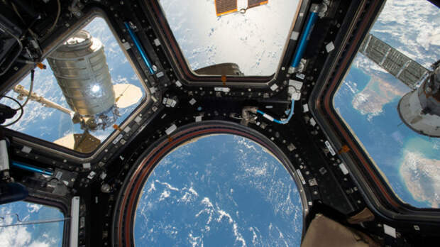 Фото: pxhere.com/ru/photo/786711 