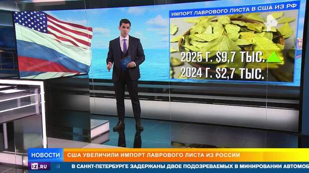 США резко увеличили импорт лавровых листьев из России