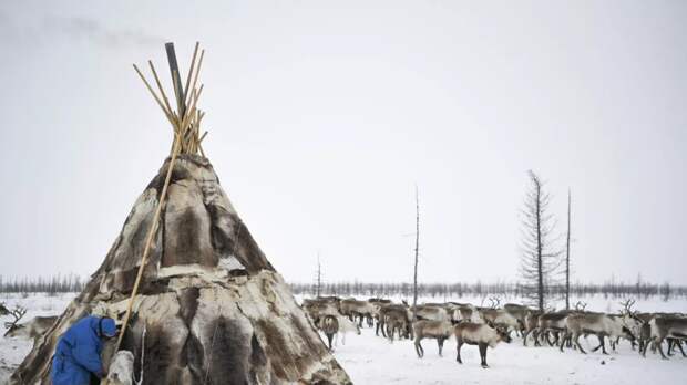 Политолог Сипров высказался о вкладе КМН в культуру страны