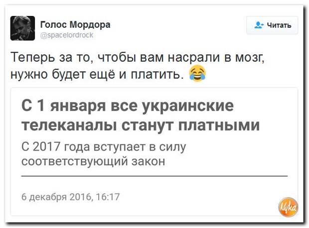 Смешные комментарии Твиттер. Смешные комментарии из телеграм.