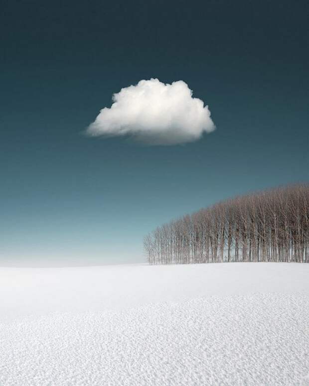 Пушистое облако проплывает над бесконечно белым полем.