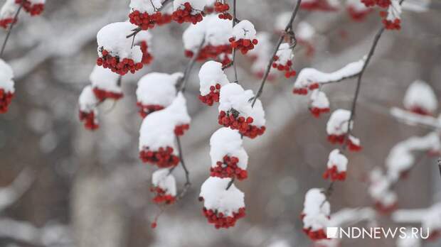 На Свердловскую область идут сильные снегопады