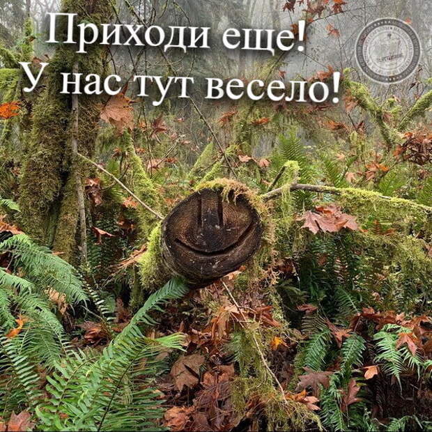 У нас тут весело!