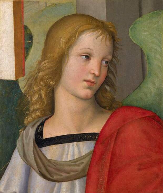 Рафаэль Санти. Голова ангела, 1501