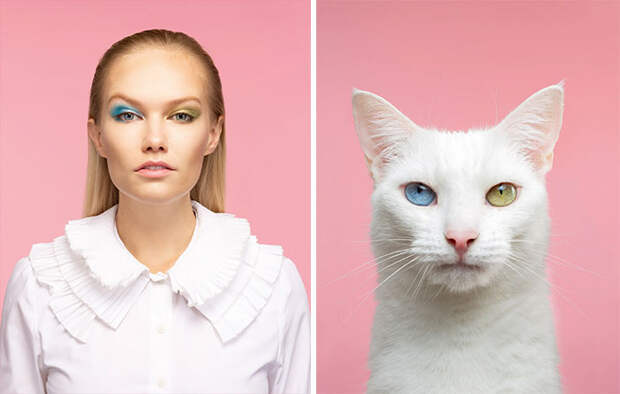 Фотограф делает снимки людей и котов, которые выглядят как двойники | Канобу - Изображение 10