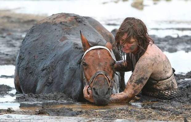 Эта невероятная женщина 3 часа не отходила от лошади, пытаясь спасти ее из смертельной ловушки