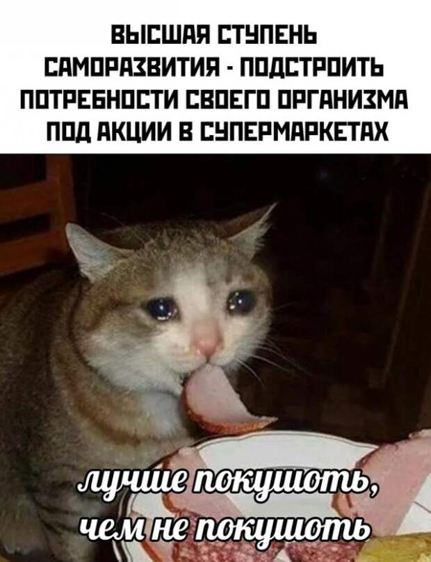 Весёлые